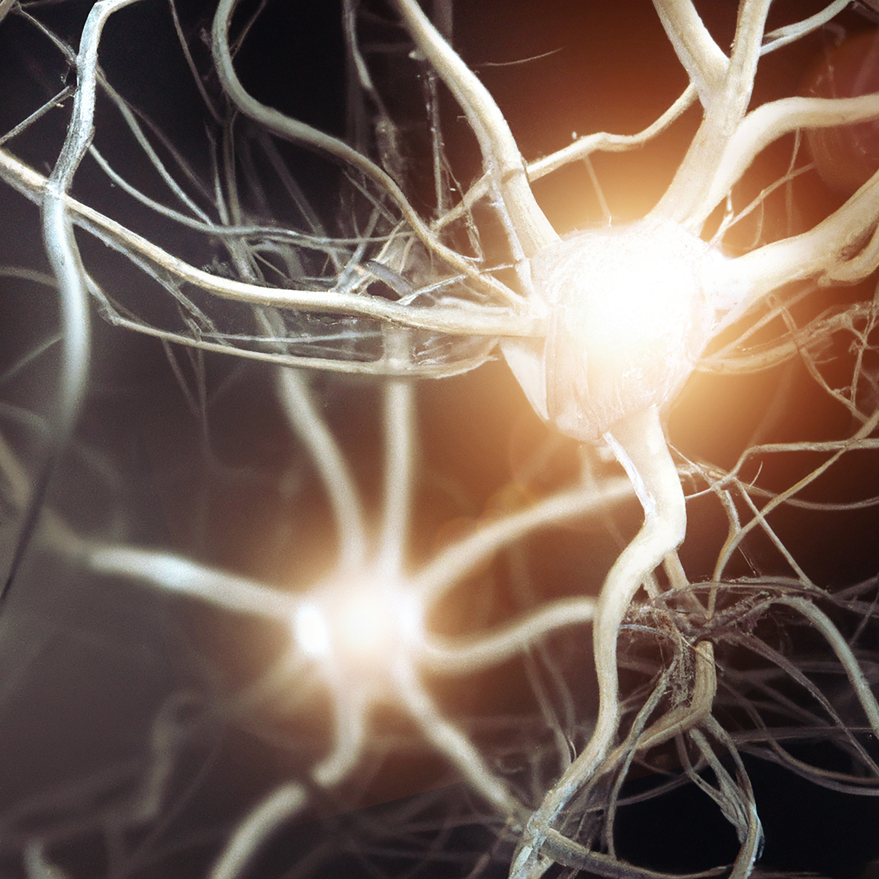 Understanding How Metabolism Contributes to Parkinson’s Disease